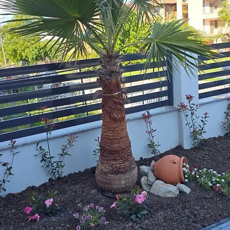 къща بيت ضيافة 4*